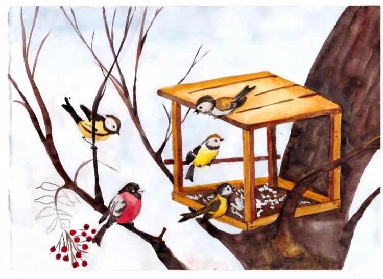 "Құстар асханасы". «Птичья столовая»